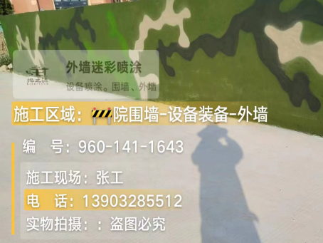 酉阳 迷彩漆喷涂价格（按平方米计费）
